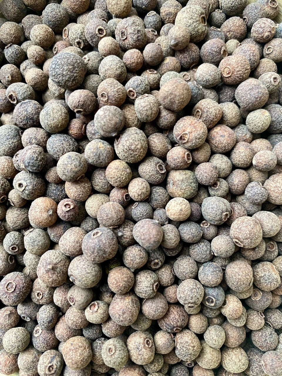 Piment de Jamaïque épice pour dessert, utilisé dans le pain d’épices et les recettes sucrées