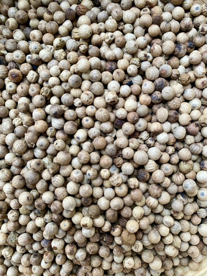 Poivre blanc de Malabar en grains pour moulin pour assaisonner plats délicats