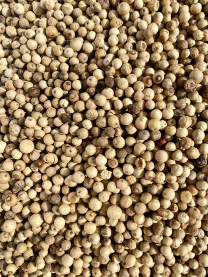 Poivre blanc de Penja en grains pour poisson grillé pour saveurs délicates