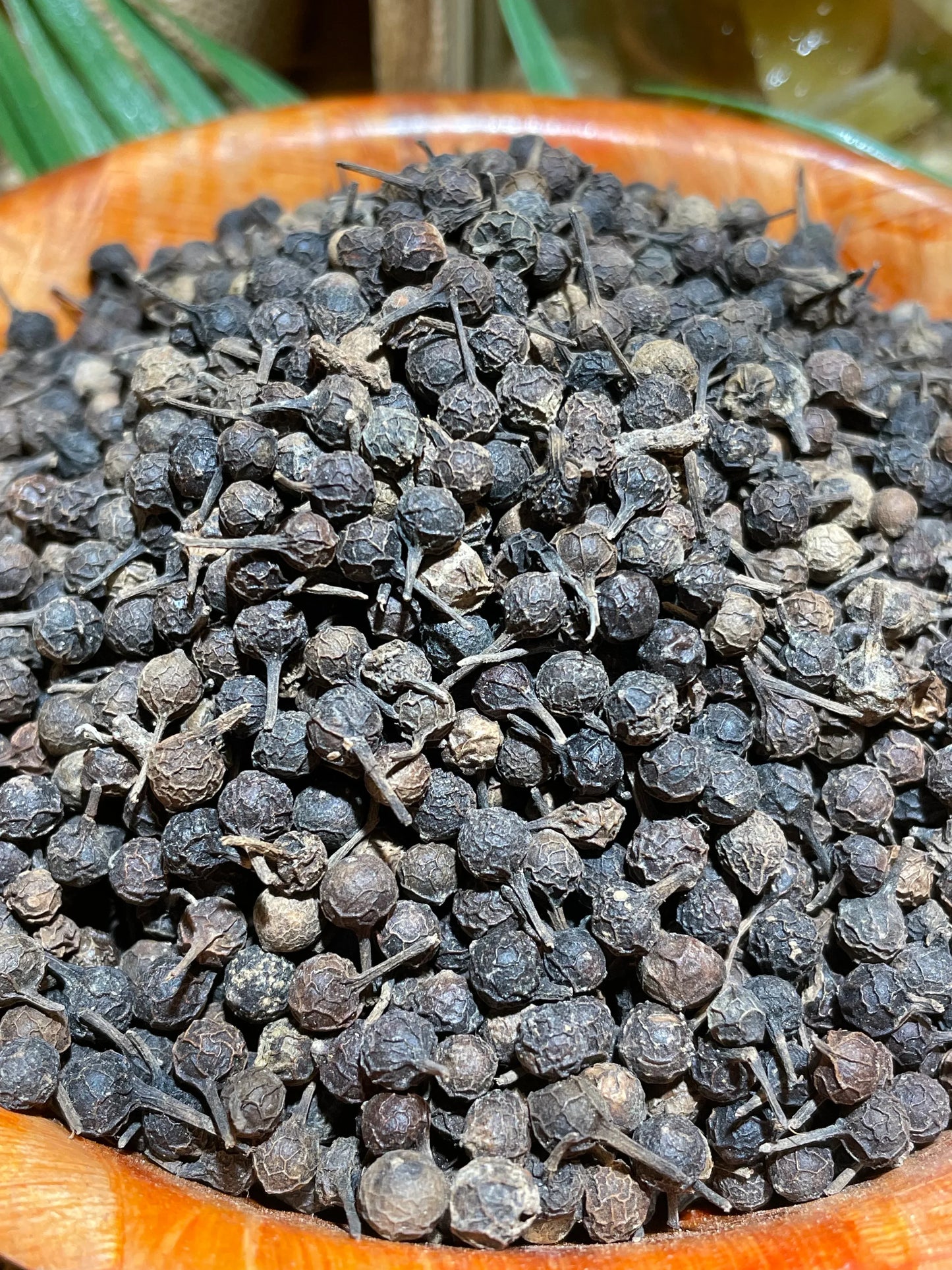 Poivre cubèbe Piper cubeba d'Indonésie, épice à queue aux notes camphrées et boisées