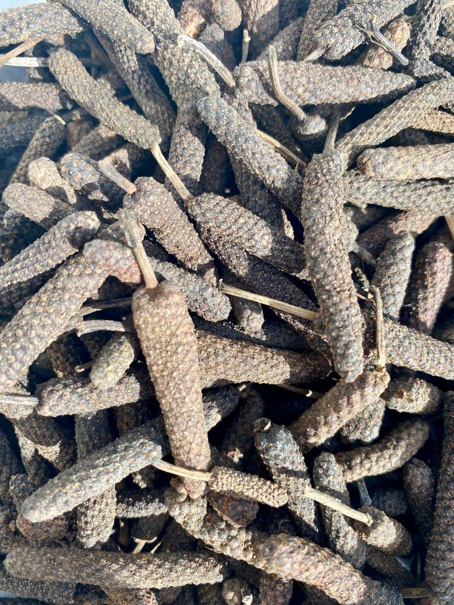 Poivre long de JAVA | Origine, utilisation, recettes