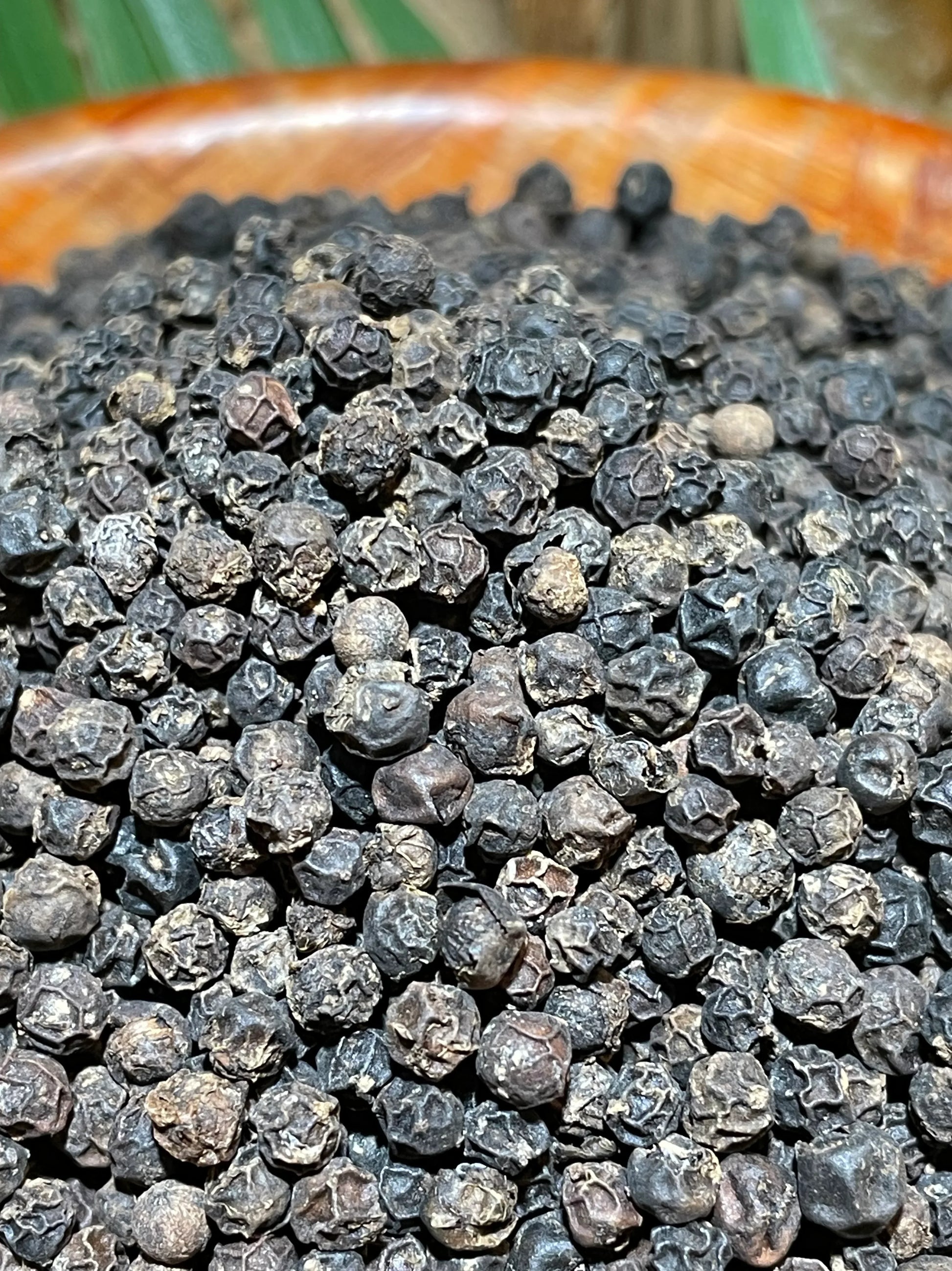 Poivre Penja Noir conservé en bocal hermétique, épice rare de la plaine de Penja