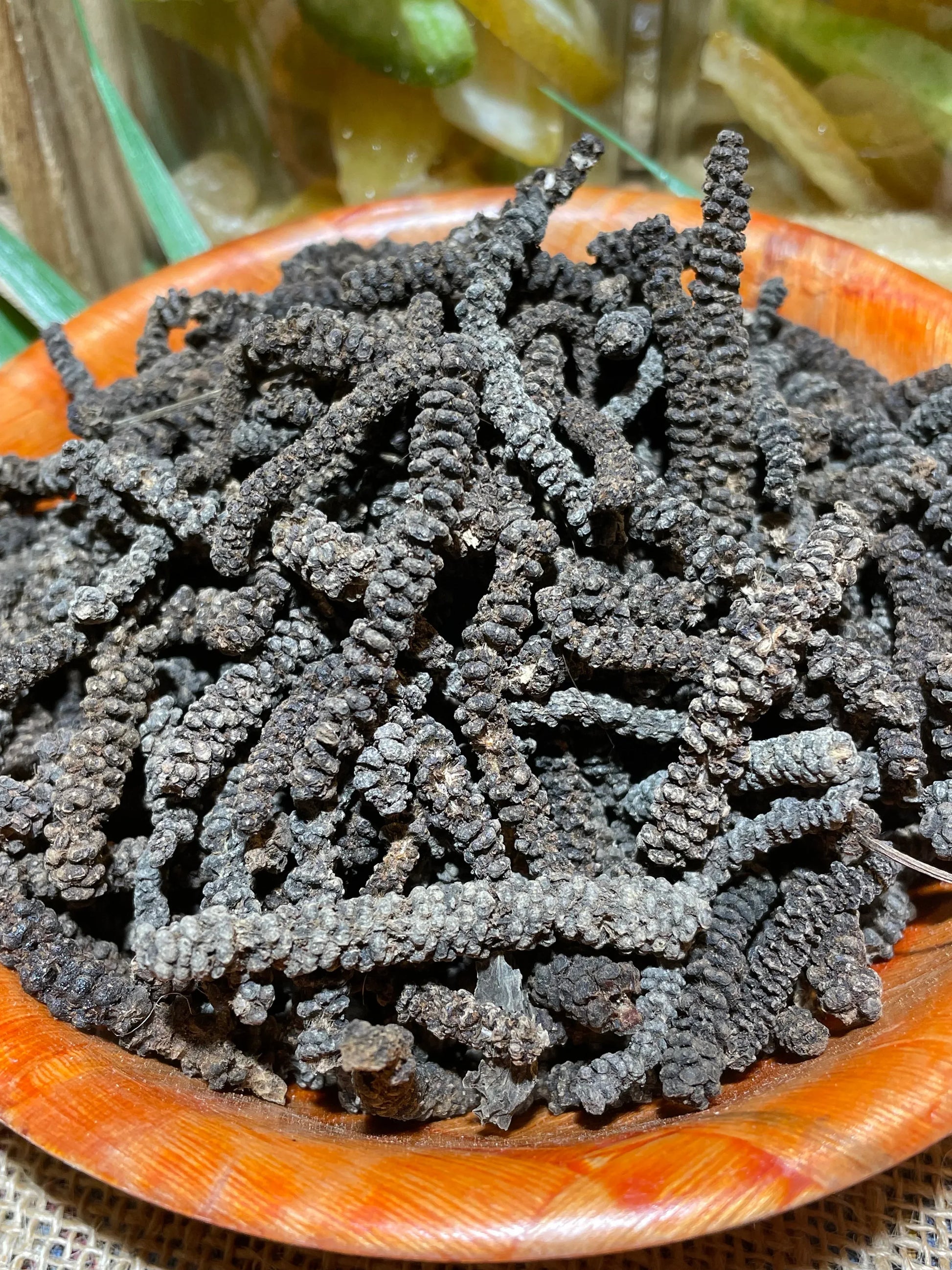 Poivre Timiz conservé en bocal hermétique, épice rare d'Éthiopie