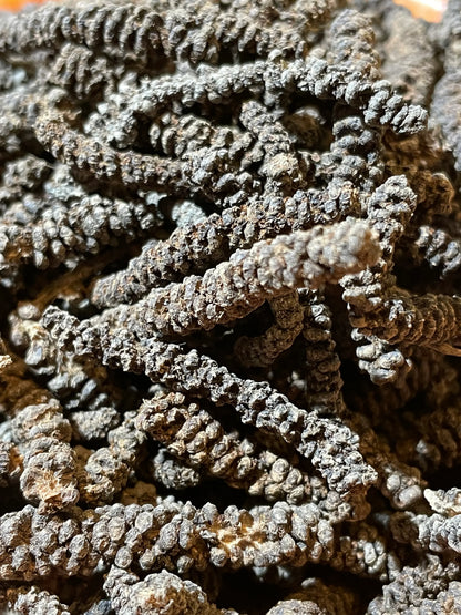 Sachet de poivre Timiz – Décors et Âmes, épice sauvage d'Éthiopie