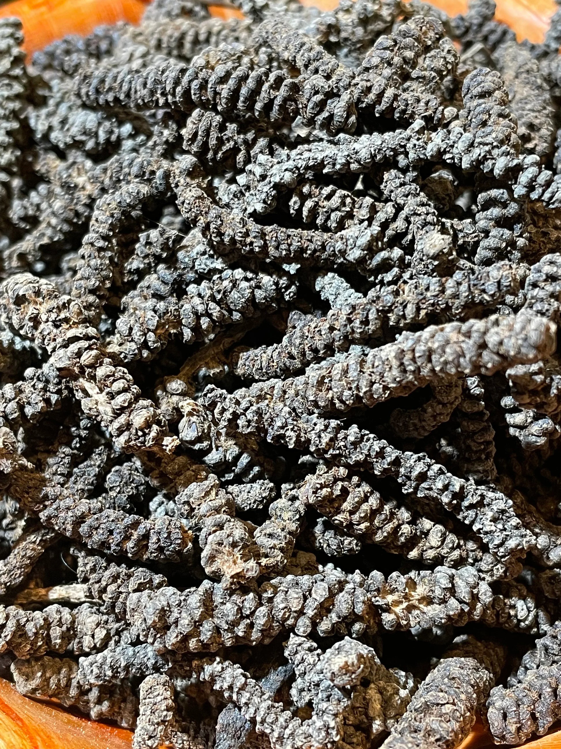 Gros plan sur les grains de poivre Timiz sauvage, récolté à la main en Éthiopie