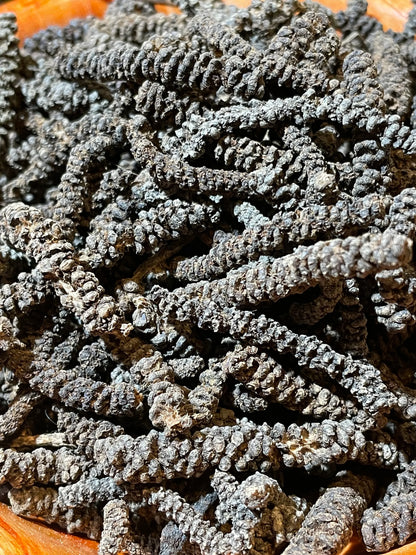 Gros plan sur les grains de poivre Timiz sauvage, récolté à la main en Éthiopie