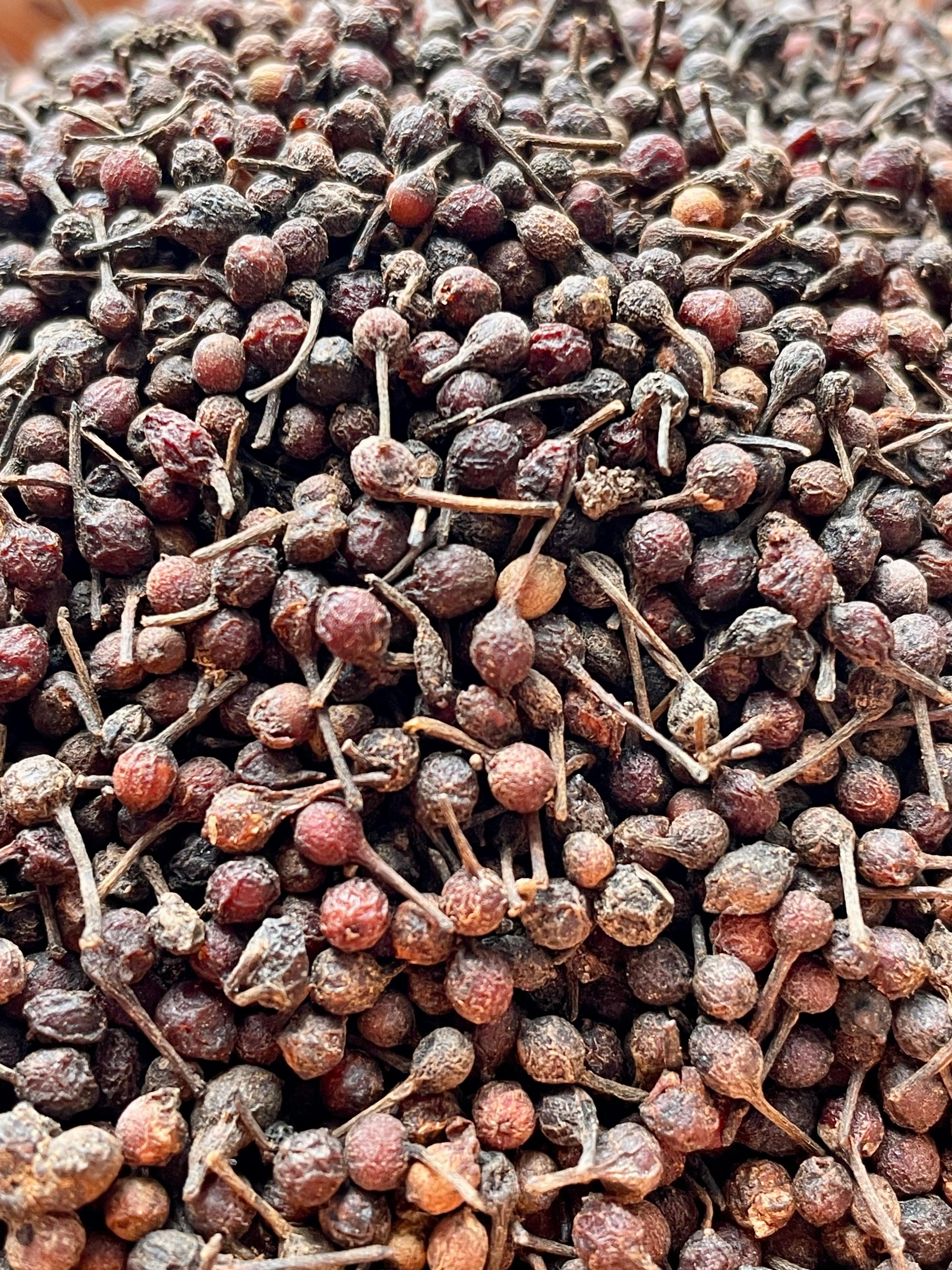 Poivre Voatsiperifery – poivre sauvage rare de Madagascar