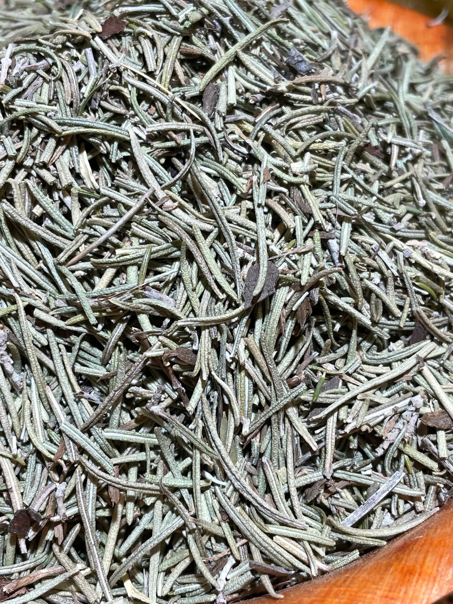Romarin séché en vrac, herbe aromatique méditerranéenne aux arômes résineux et camphrés