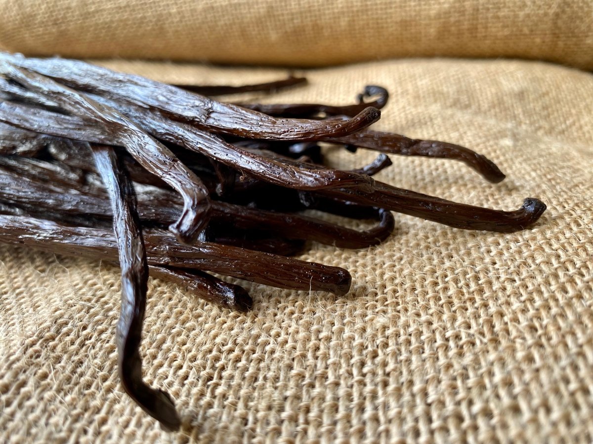 Gousses de Vanille de Madagascar | 16-18 cm | Utilisation, recettes