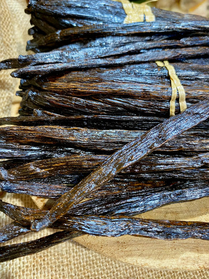 Gousses de vanille Gourmet Ouganda 13–15 cm, compactes et parfumées