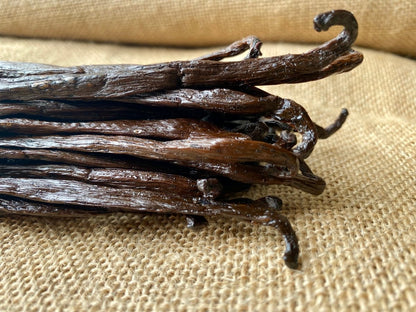 Utilisation des gousses de vanille Madagascar 13–15 cm