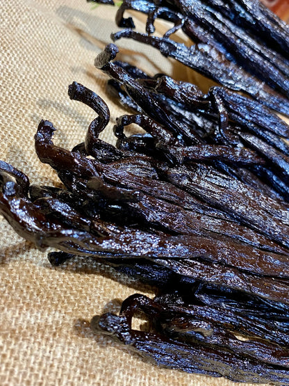 Vanille Pompona de Madagascar XXL – Origine, utilisation, recettes